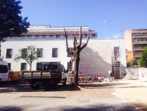 Impresa Costruzioni Roma Emma Costruzioni - Ristrutturazioni  Basso Costo Roma e Provincia (30)